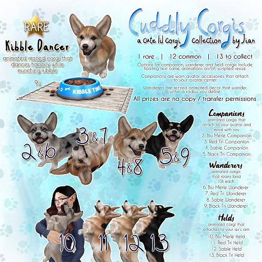 JIAN Cuddly Corgis 7. Red Tri Wanderer BOX