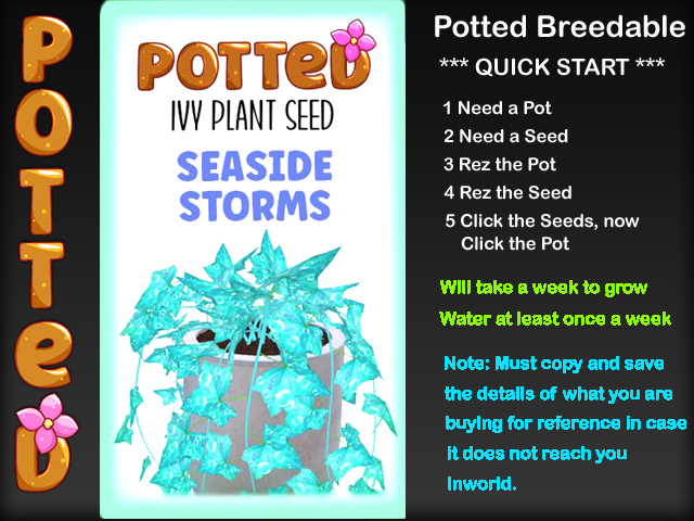 Potted: Ivy Plant Seed: Seaside Storms