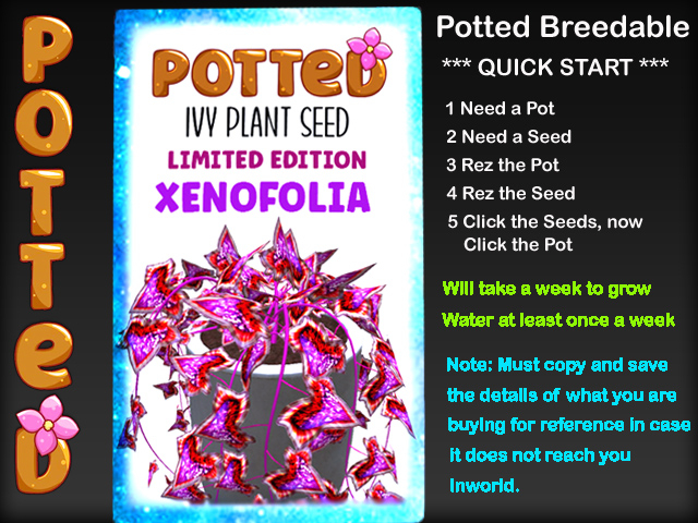 Potted: Starter Ivy Plant Seed: Limited Edition Xenofolia