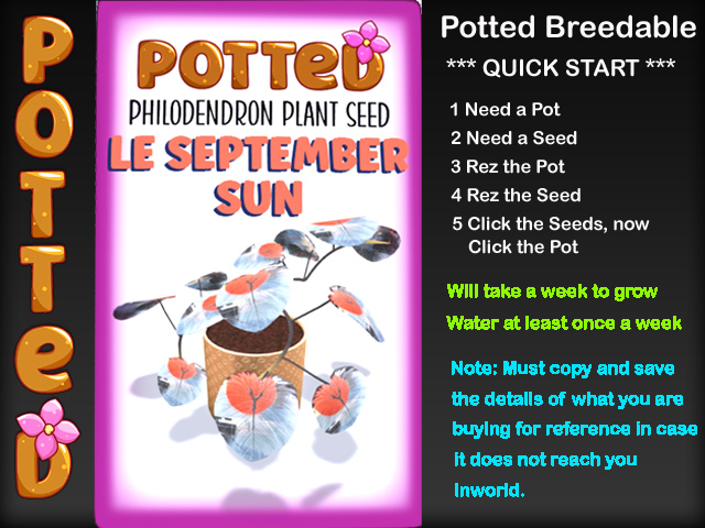 Potted: Starter Philodendron Plant Seed: LE September Sun
