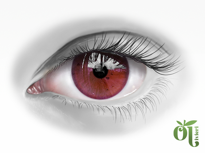 Parler Eyes [pink04] ➔ Lelutka | Bom