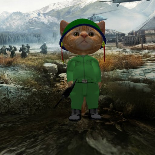 Dinkie Army NCO
