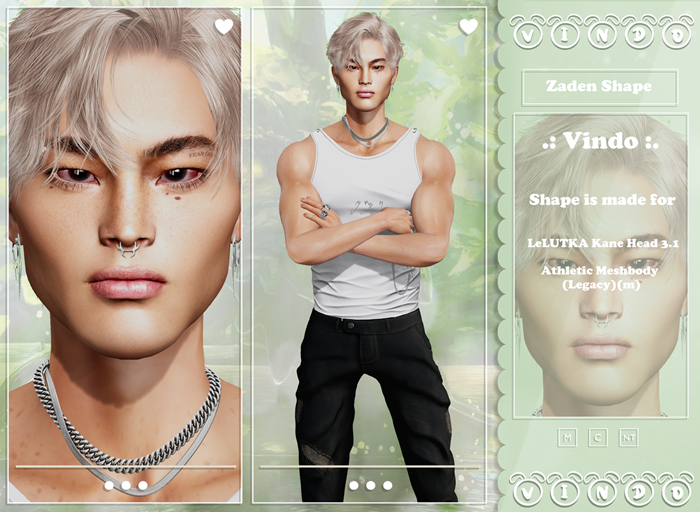 .: Vindo :. Zaden Shape