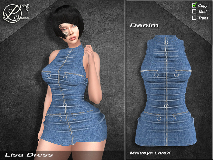 Lisa Dress LaraX Denim