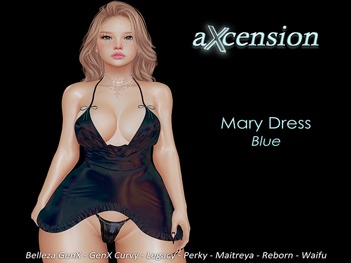 aX: Mary Dress Blue