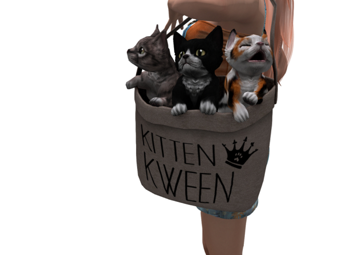 JIAN Munchkin Kittens :: Royal Bag (Wear me!) RARE