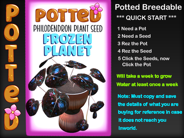 Potted: Philodendron Plant Seed: Frozen Planet