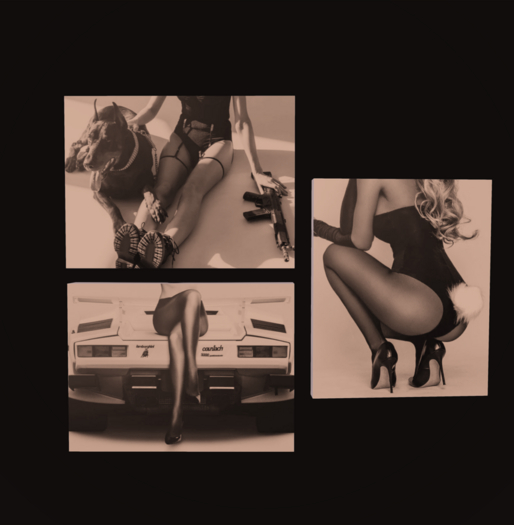 //BEAST WOMENS WORK CANVAS BUNDLE