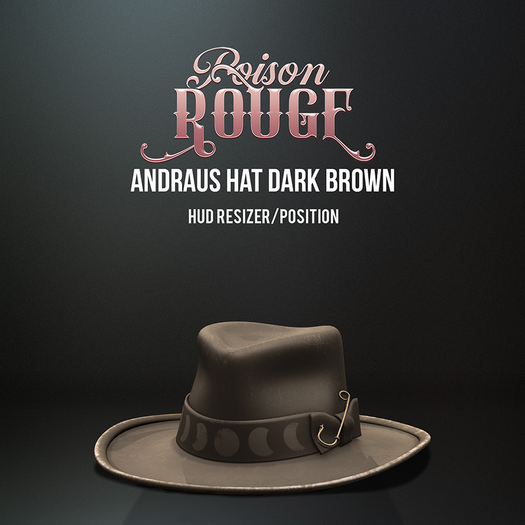 POISON ROUGE Andraus Hat Dark Brown