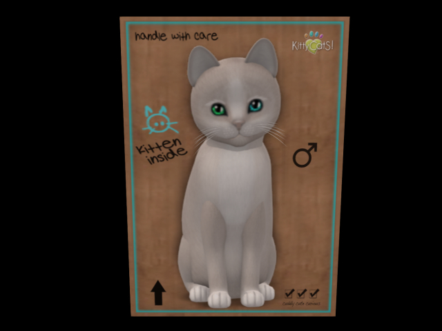 KittyCatS Box - New Born Kitten