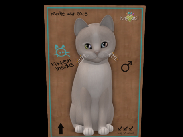 KittyCatS Box - New Born Kitten