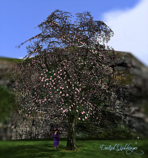 DEMO~ Breezy cherry blossom5 Tree 2LI