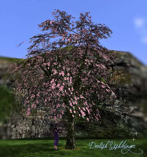 DEMO~ Breezy cherry blossom3 Tree 2LI