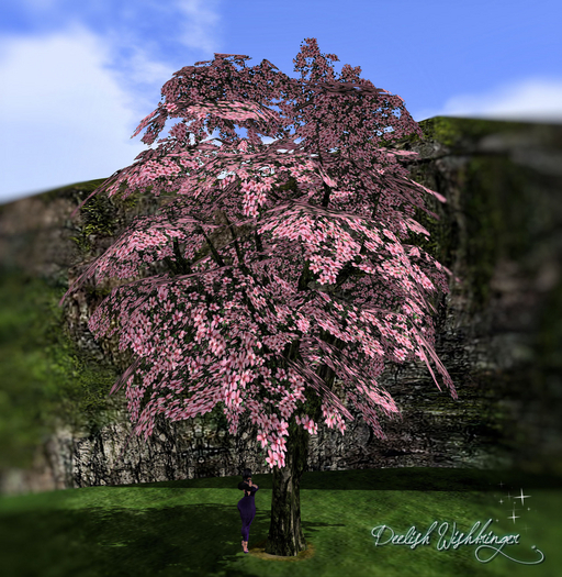 DEMO~ Breezy cherry blossom1 Tree 2LI