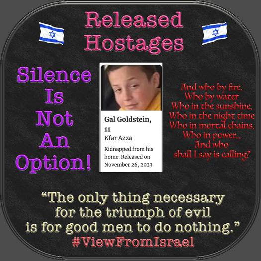 !Released^ Hostages Nov 26 Gal Goldstein Box