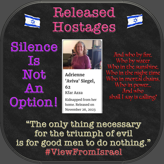 !Released^ Hostages Nov 26 Adrienne Aviva Siegal Box