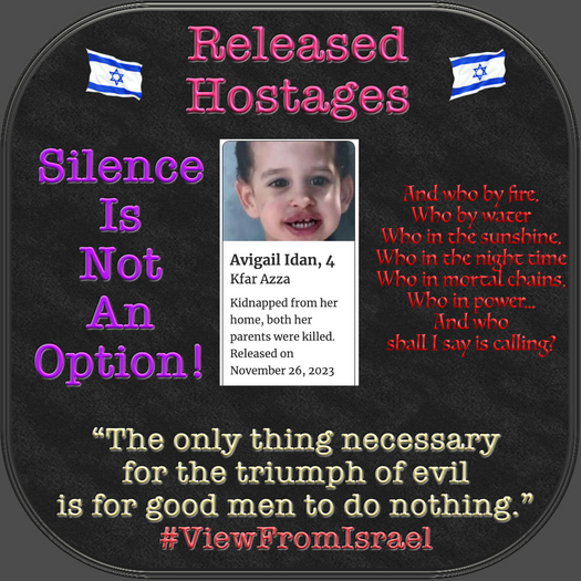 !Released^ Hostages Nov 26 Avigail Idan Box