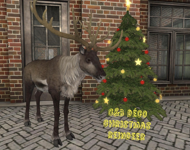 C&B Christmas Reindeer