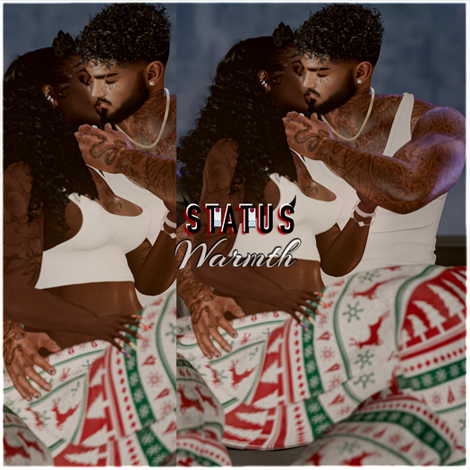 STATUS ~ Warmth