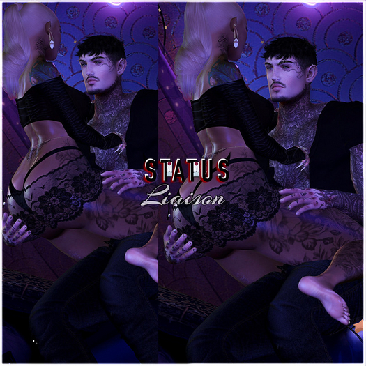 STATUS ~ Liaison
