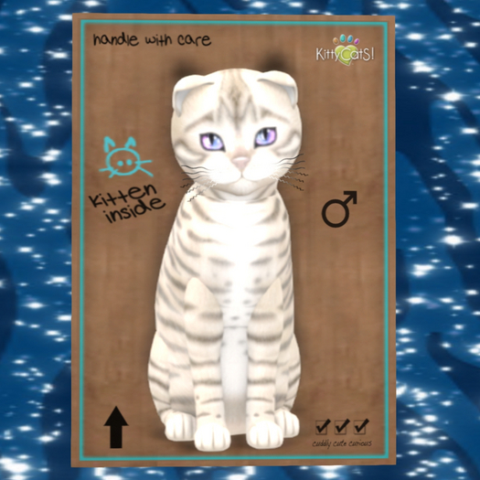KittyCatS Box - M Toyger Snow Destiny Rivers 9T