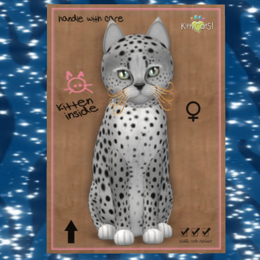 KittyCatS Box - F Cheetah! Silver Marble Magic Fluffy 9T