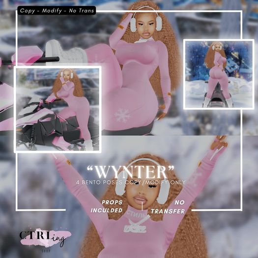 CTRL - "Wynter" Bento Pose Pack