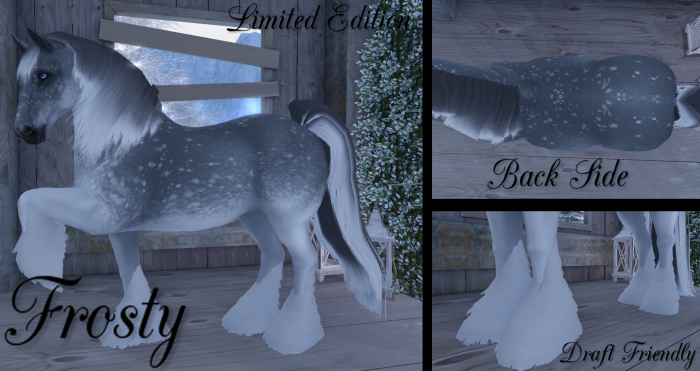 =CH= Frosty Limited Edition Teegle Coat