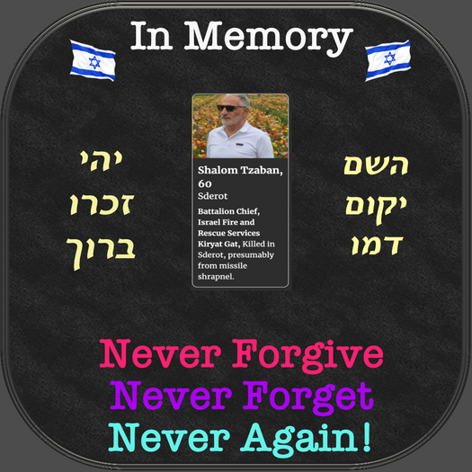 !ES Shalom Tzaban Box