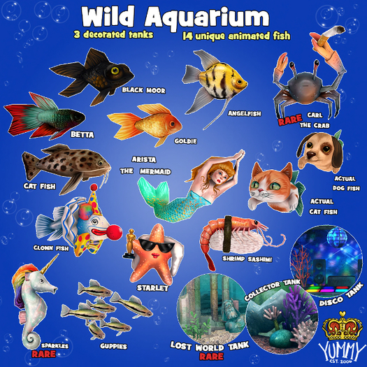 (Yummy) Angel Fish - Boxed