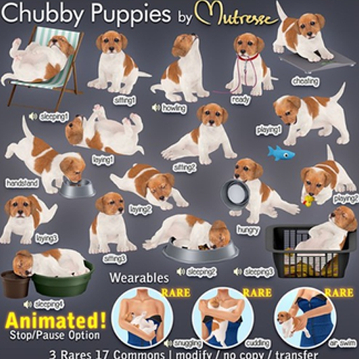 Mutresse-Cuddling-Chubby Puppies RARE