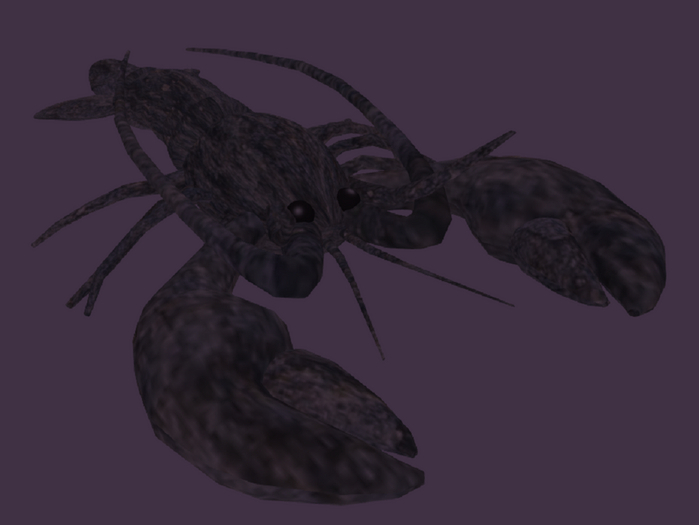 Rock Lobster