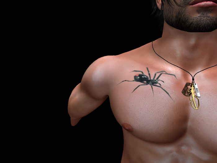 Box Spider tattoo bom