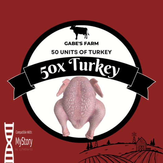 MyStory Turkey x 50