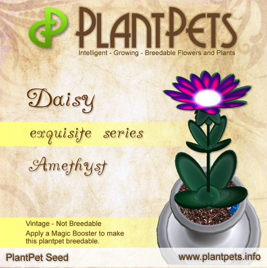 PlantPet Seed [Daisy *Amethyst*] RARE VINTAGE