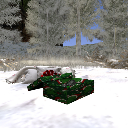DFS Xmas Box Of Coal