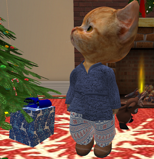Dinkie Christmas Robe and PJs Blue 