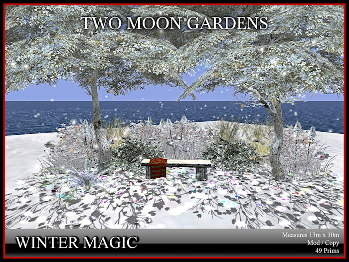 Winter Magic