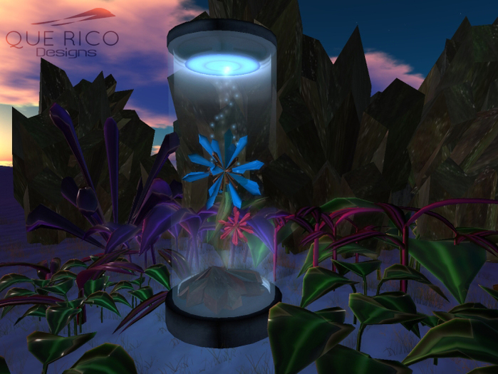 QUE RICO - Planter Emergence- Capsule Life