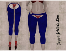 Blue Velvet Cheeky Pants