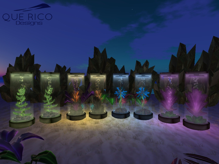 QUE RICO - Planter Capsule Life Fat Pack