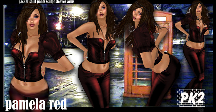 Pk2 leather latex  pamela R