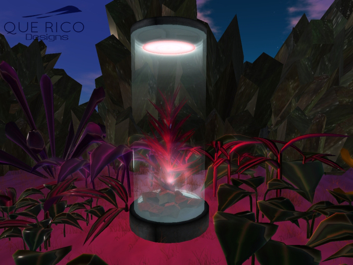 QUE RICO - Planter Dry Crimson - Capsule Life $10