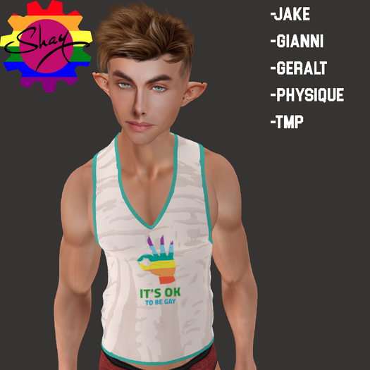 OK To Be Gay Sheer Tank