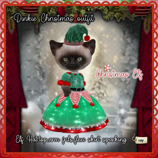 Dinkie christmas elf outfit.