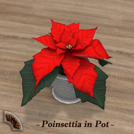 ~Poinsettia in Pot~ World of Wood