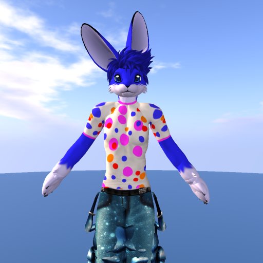 Polka Dot T Shirt