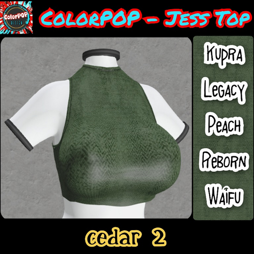 ColorPOP - Jess Top - Cedar 2 BOX (ADD to Unpack)