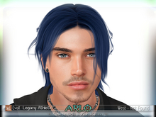++SHAPE MAKER++"ARLO SHAPE"