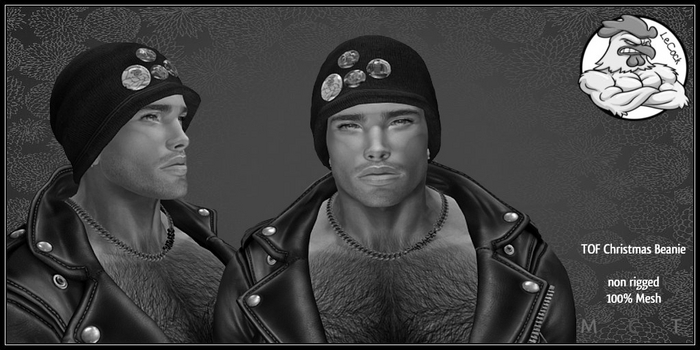 LeCock - TOF Christmas Beanie DEMO
